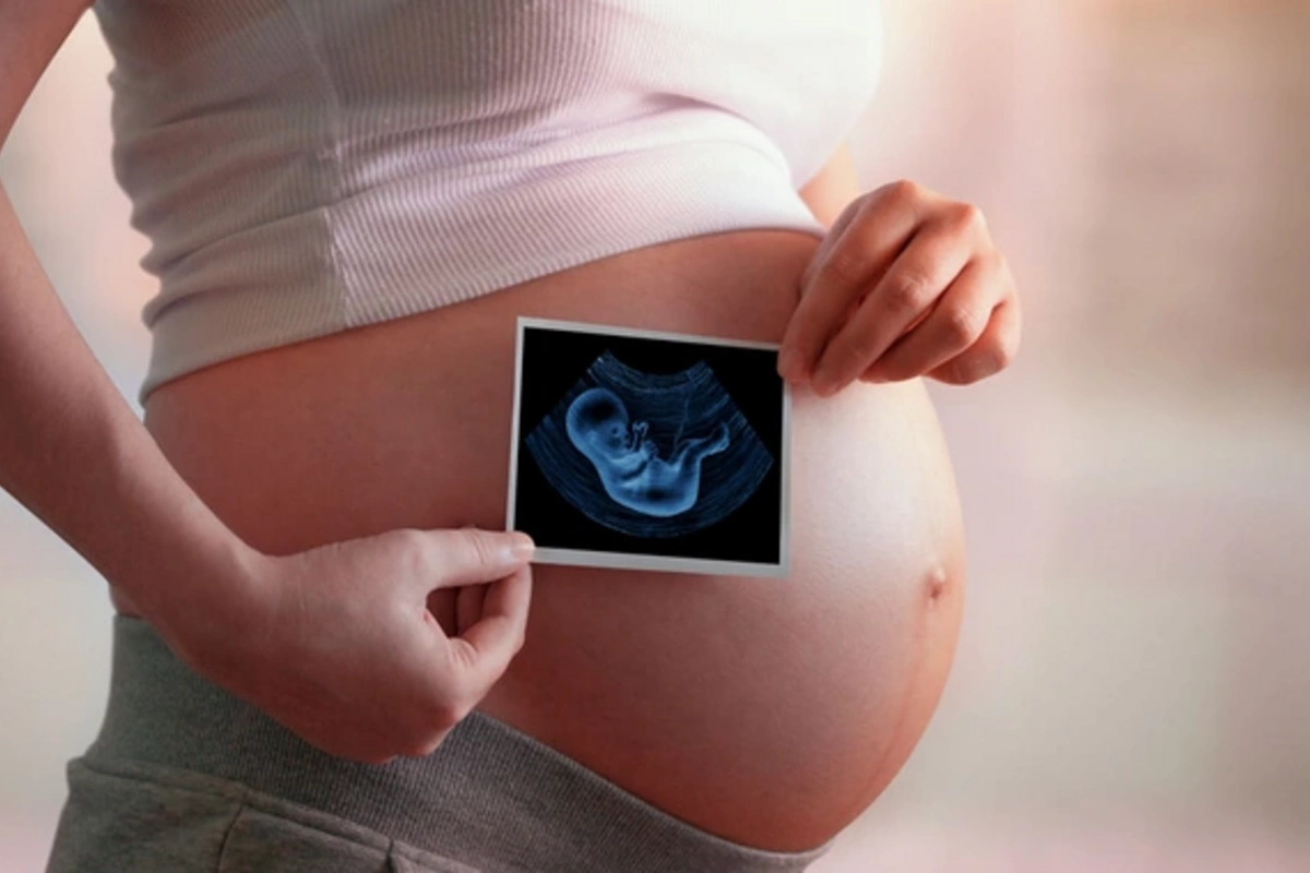 Scientists have revealed how the connection between mother and child has evolved over 100 million years