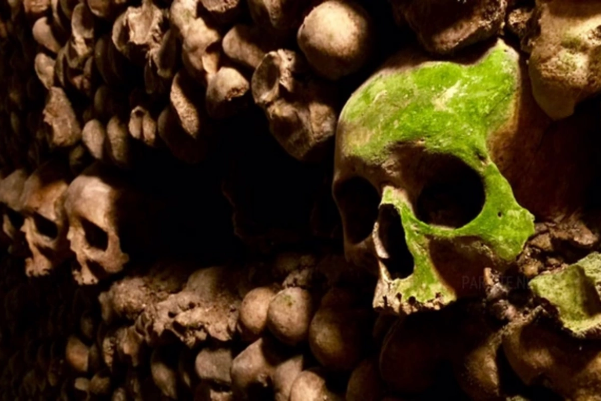 The Island of the Dead in Paris - What the Catacombs Hide