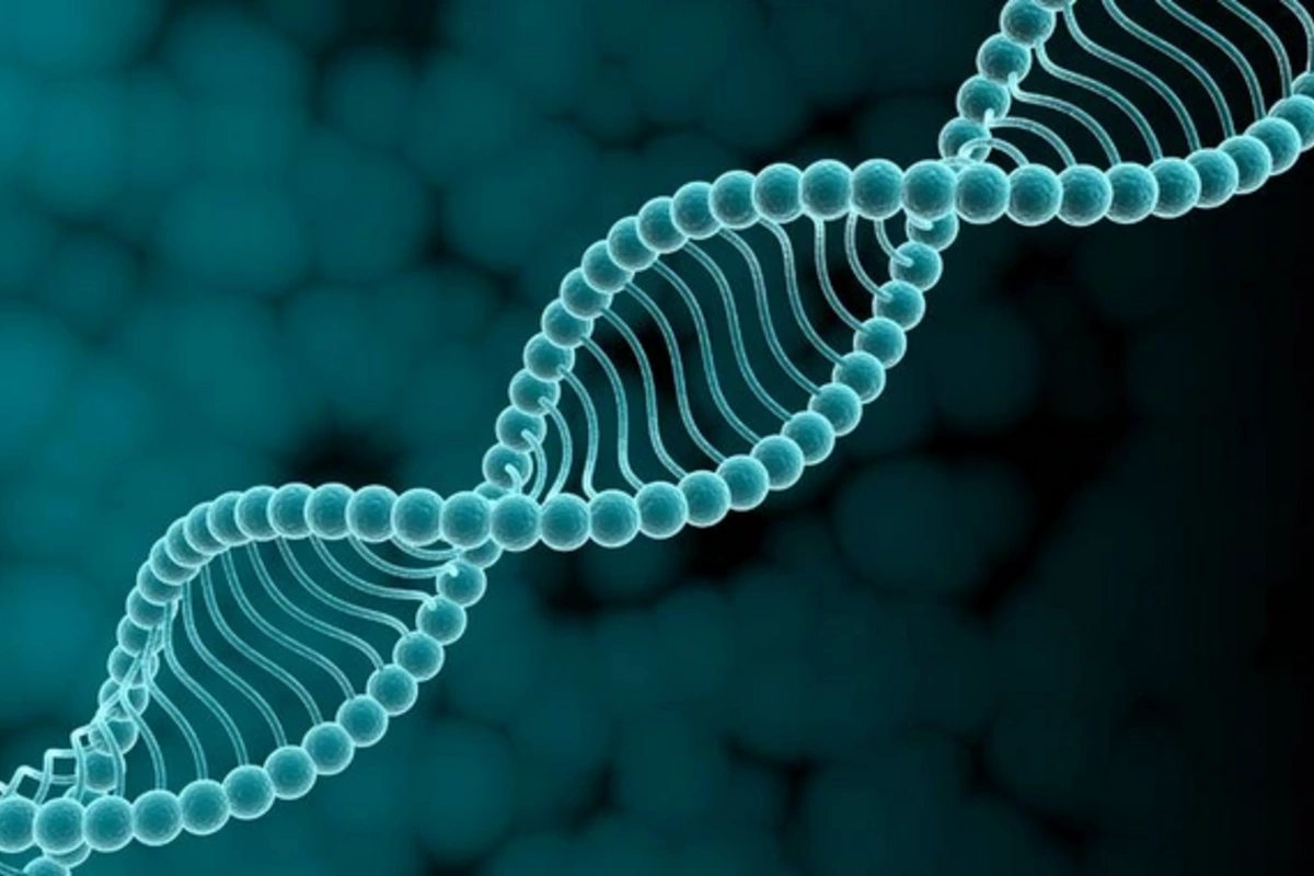 Artificial intelligence has cracked the code of life