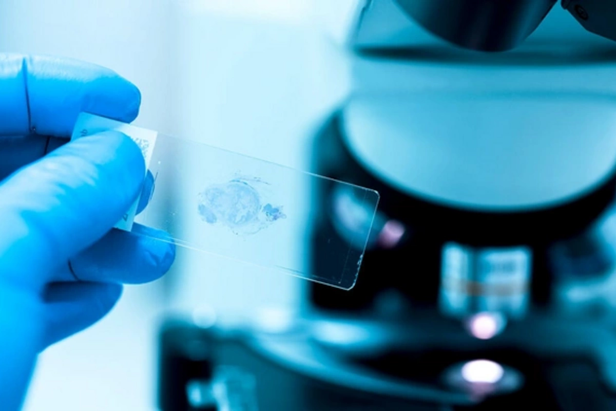 Открыто новое объяснение старения клеток организма