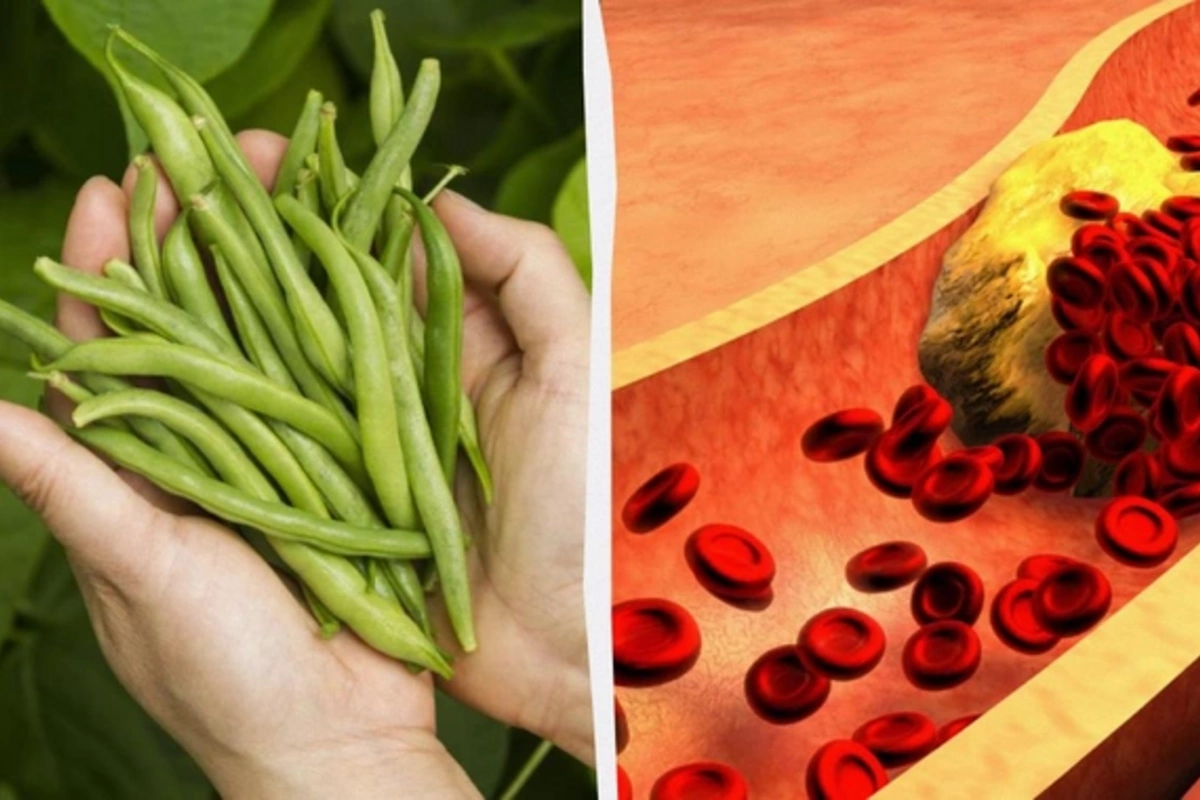 Диетолог назвала лучший углевод, который снизит уровень холестерина в кровиСпециалист по питанию раскрыла секрет борьбы с повышенным холестерином, указав на один из самых полезных углеводов, способных значительно улучшить показатели здоровья сердечно-сос