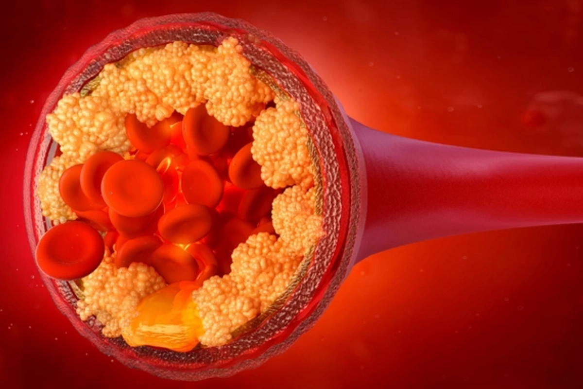 Scientists Master Light Control of Cholesterol Activity