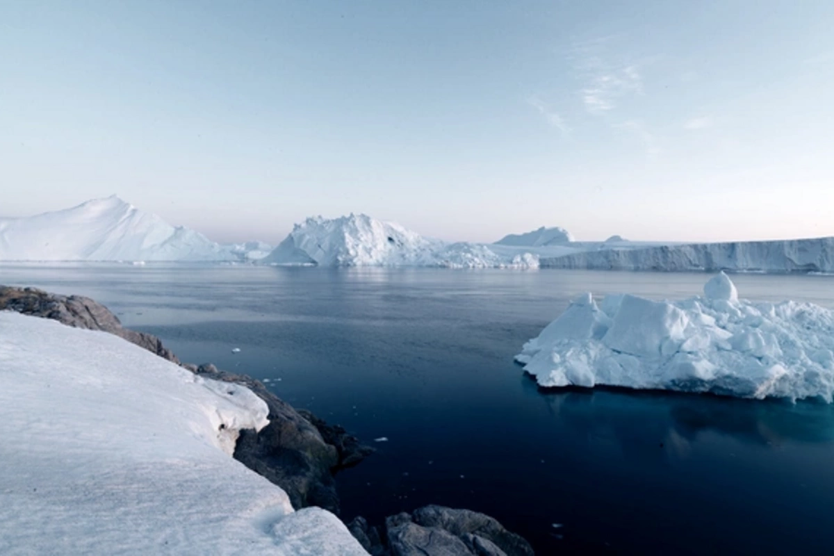 Shark appeared for the first time in Antarctic waters