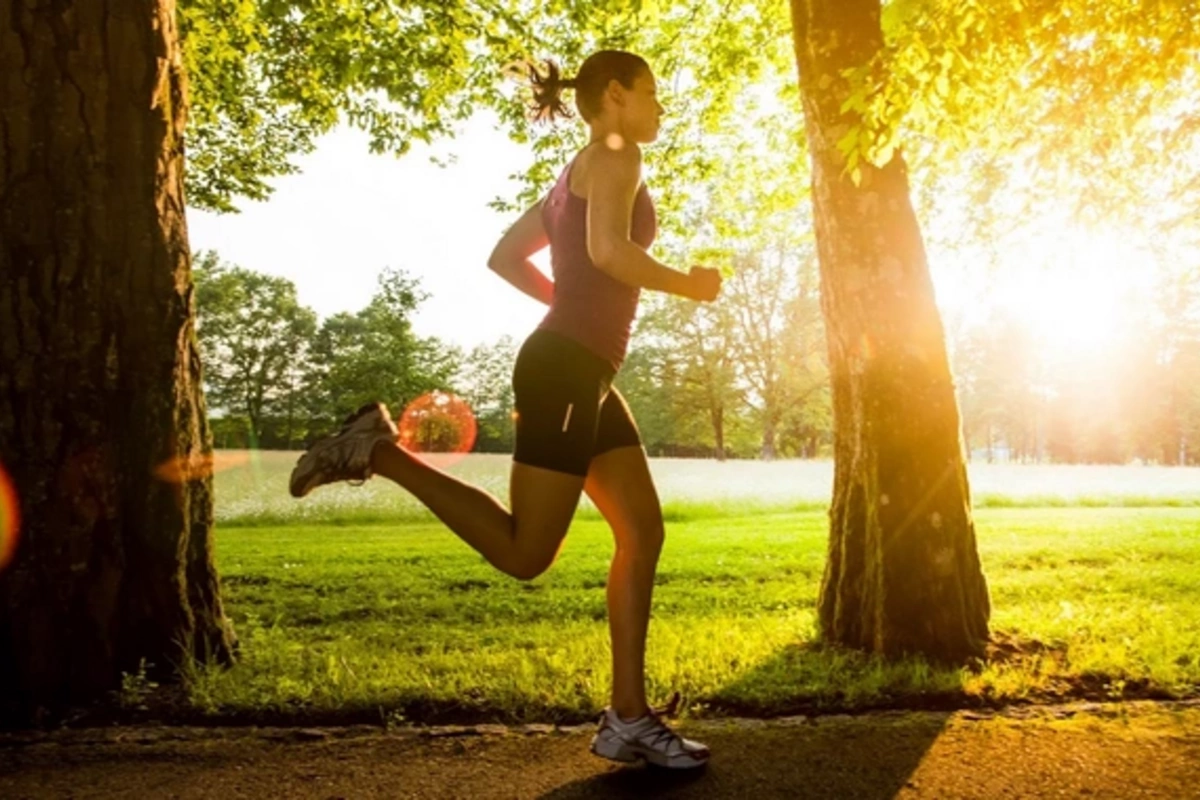 Running in the Heat: A Scientific Look at Risks and Benefits## Contribution GuidelinesThank you for your interest in contributing to the Angular documentation!This document explains how to contribute to this repository, including:- [Getting started](#gett