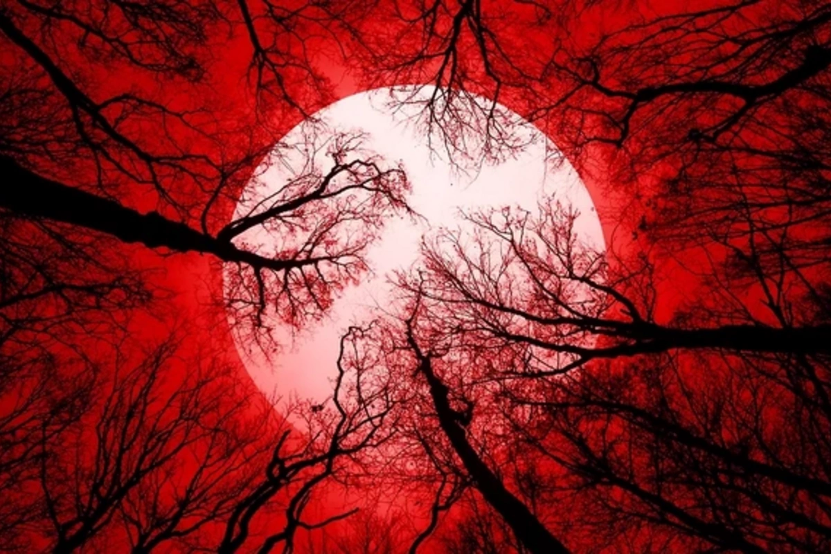 In Azerbaijan, the Blood Moon will appear for 82 minutes: when and where to watch the eclipse?