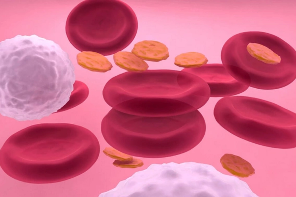 Scientists taught cells to stop bleeding almost instantly