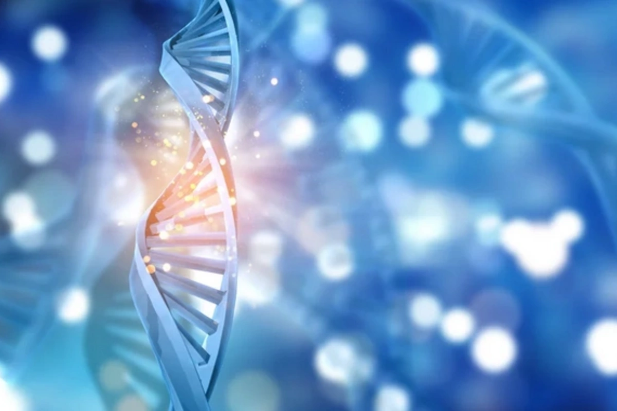 Секрет долголетия: ученые сделали сенсационное открытие