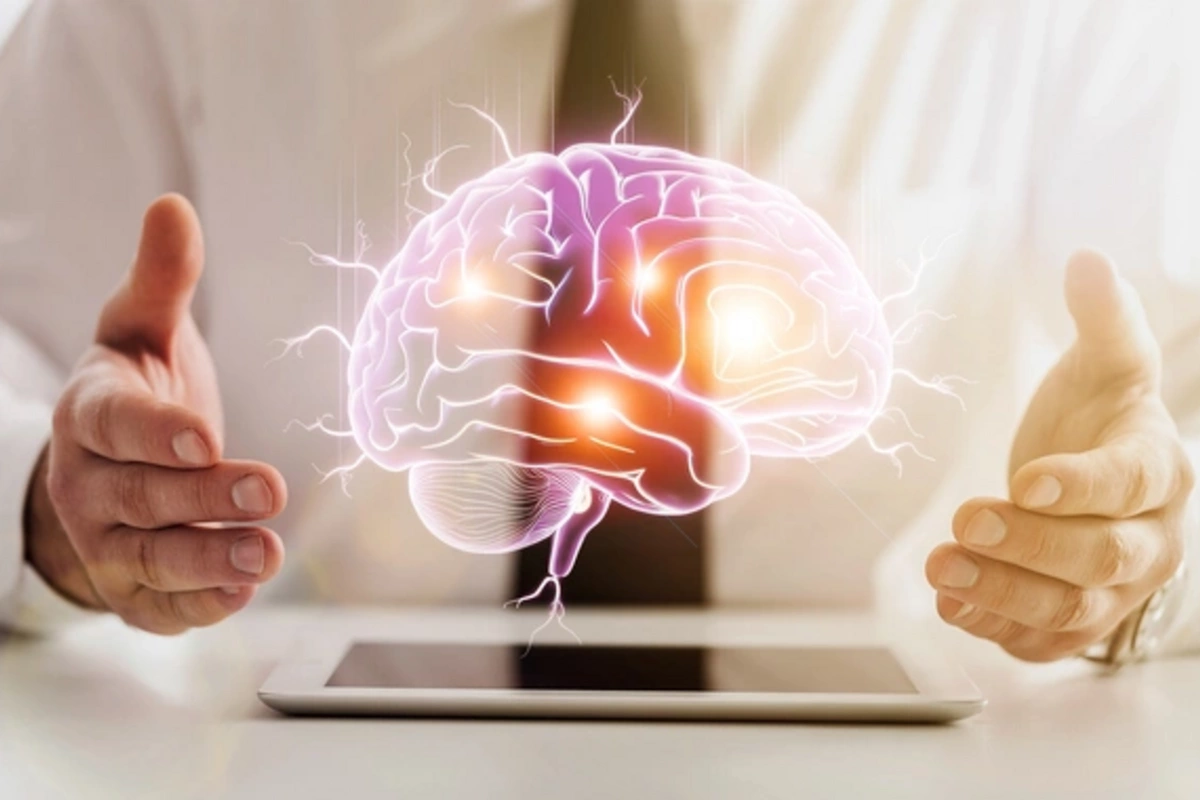 Учёные назвали орган, способный замедлить старение мозга