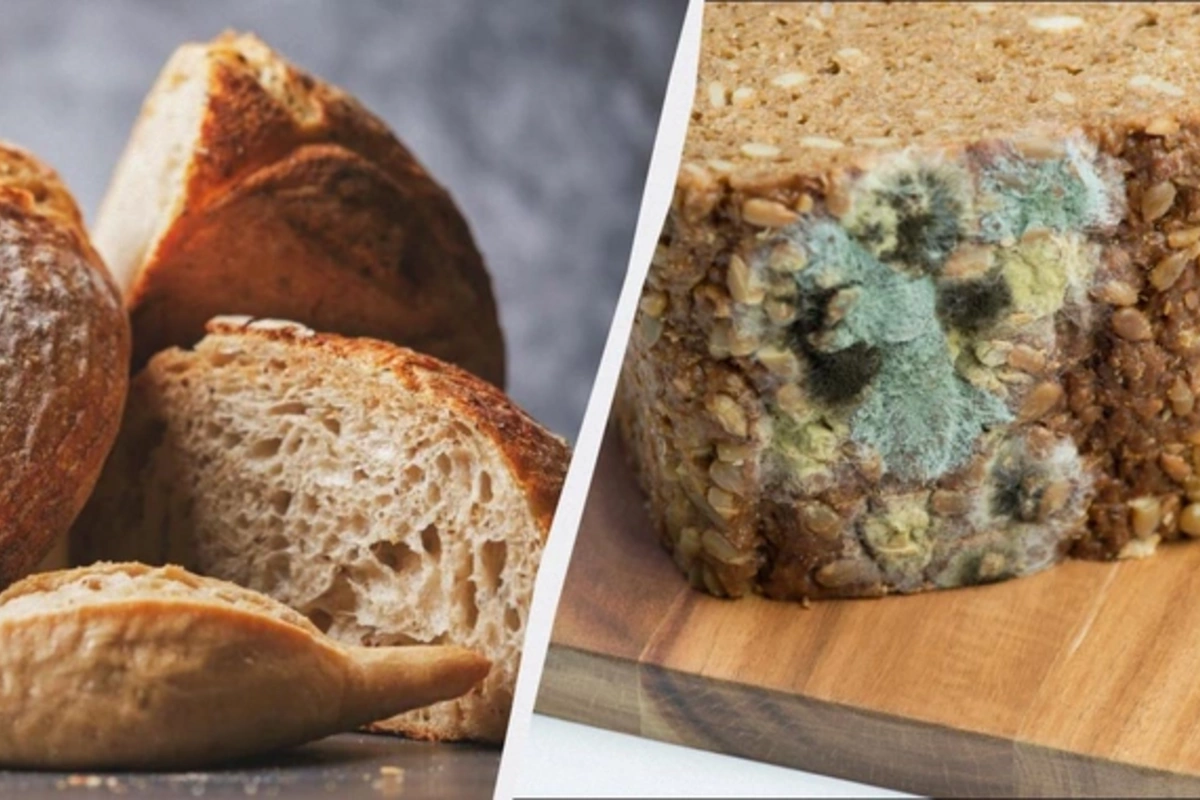 Плесень на хлебе: можно ли спасти буханку - мнение врача