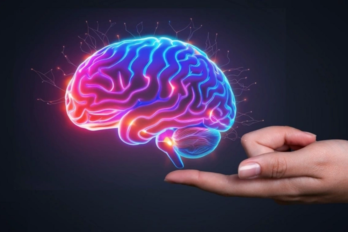 Ученые впервые в истории «воскресили» замороженный мозг