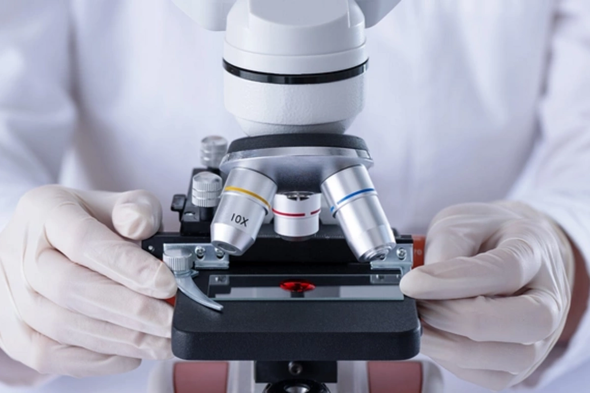 Scientists discovered the elixir of youth in the gut