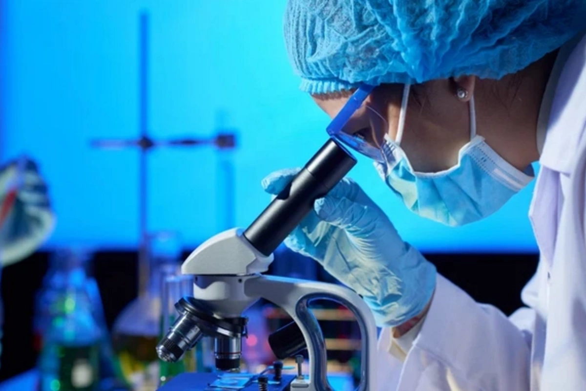 Berry for metabolism acceleration: what you need to know