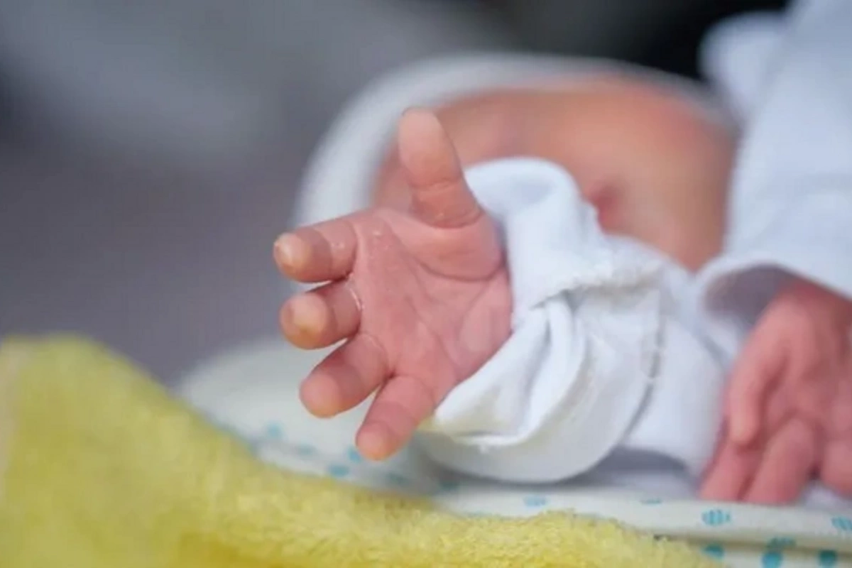 Bodies of 800 infants began to be searched for in an institution for single mothers in Ireland