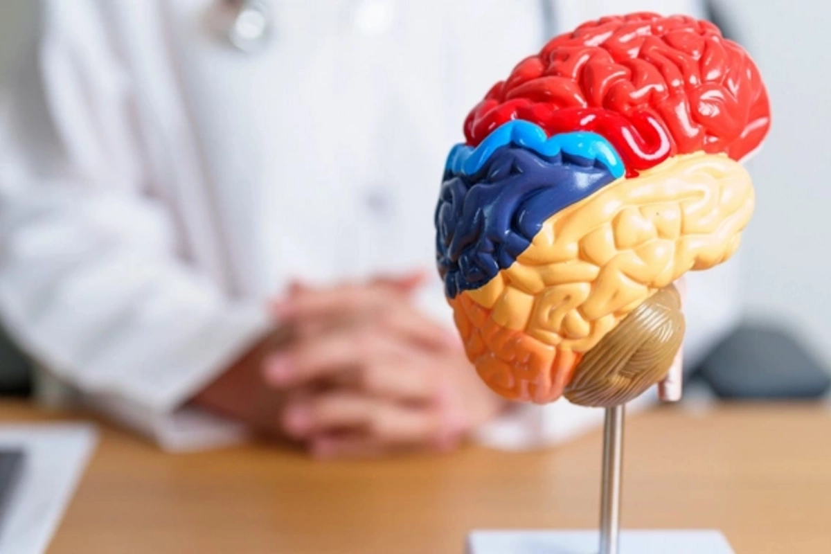 A simple habit of elderly people slows down brain aging