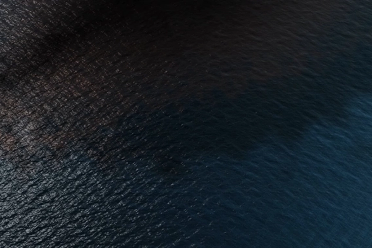 Scientists discovered an amazing alternative to oil