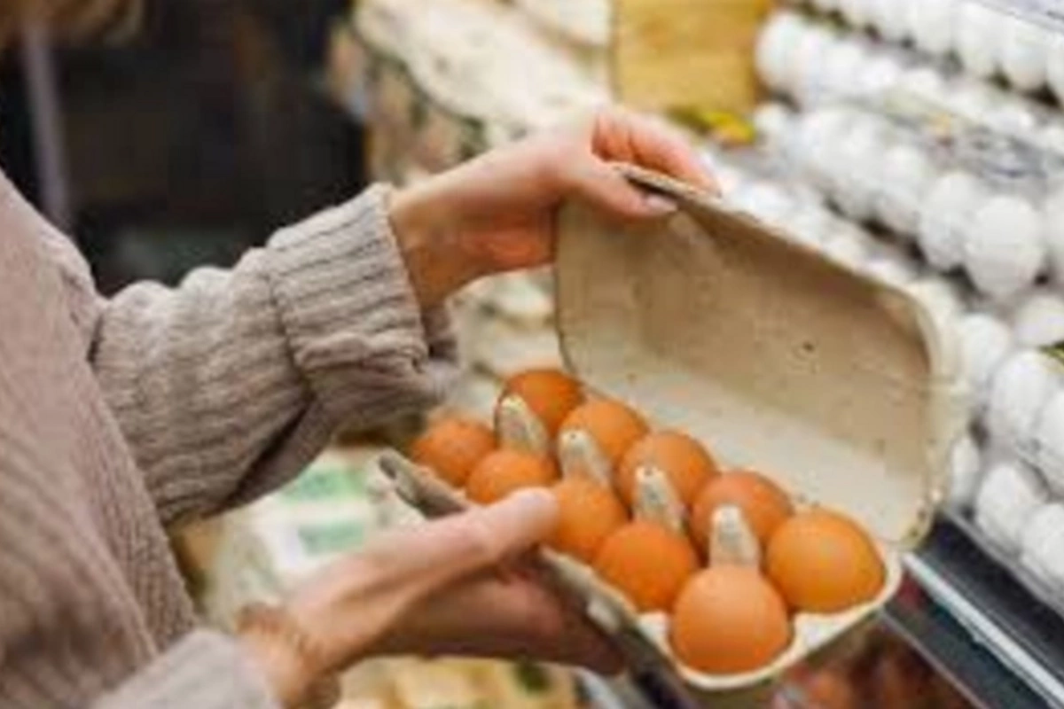 Ученые: куриные яйца могут улучшать качество сна