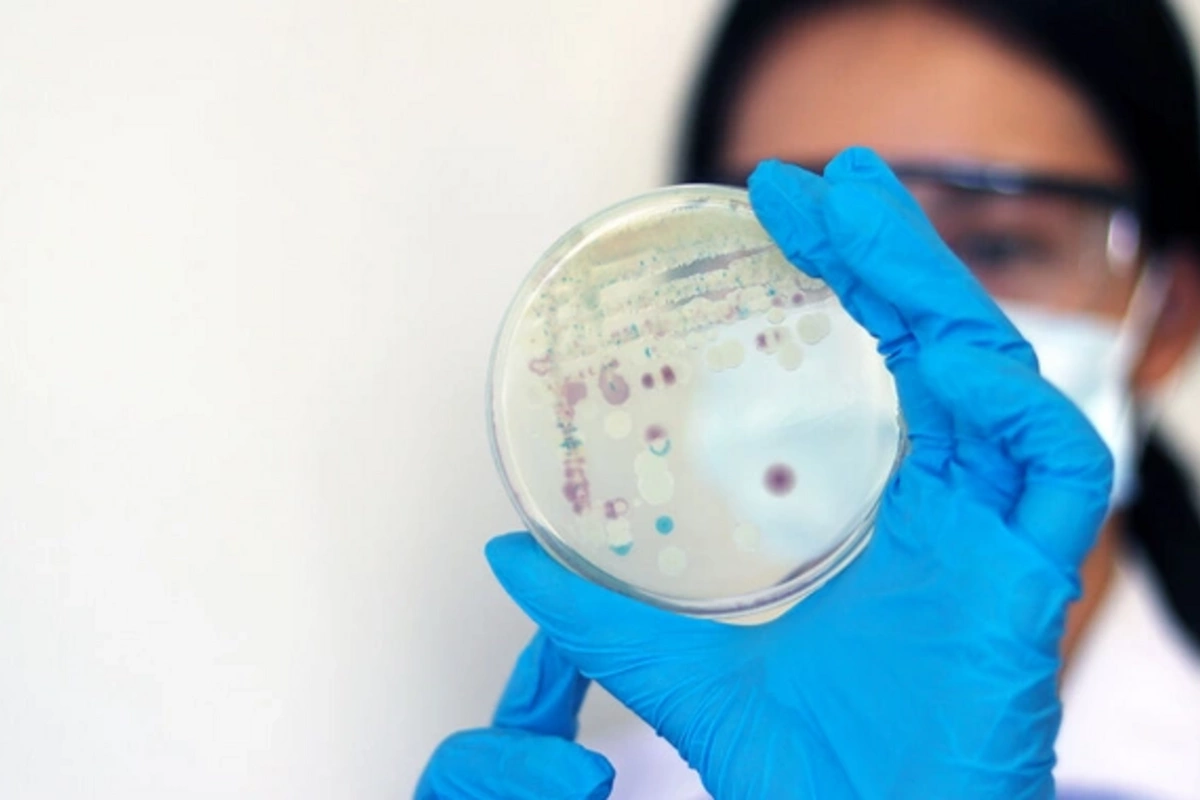 Учёные узнали, какой грибок способен выжить на Марсе