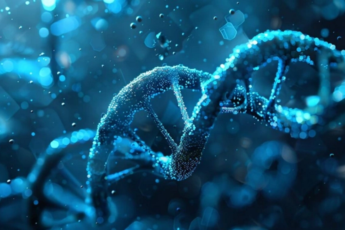 Created glue capable of repairing DNA breaks