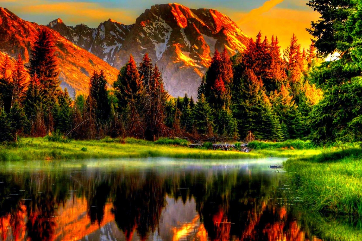 Nature has its own internet that people are only beginning to understand