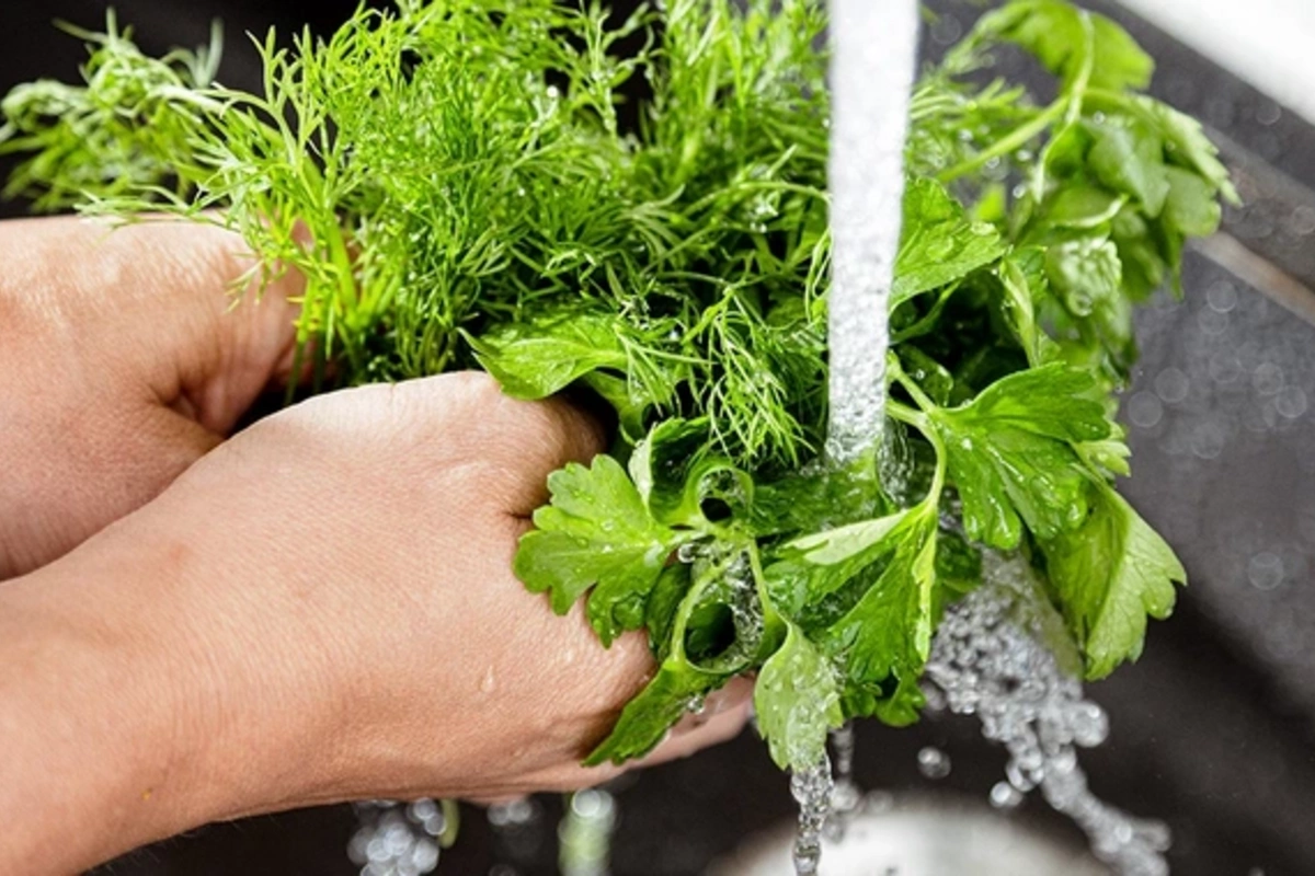 Do you need to wash dill and parsley: remember this forever