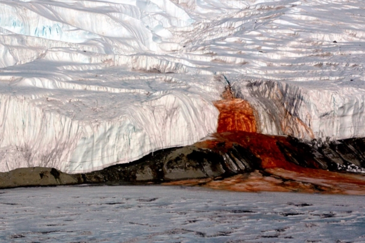 Blood Falls of Antarctica Revealed the Secret of Ancient Life
