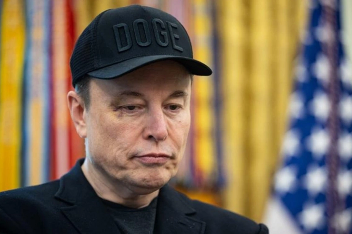 Why did Elon Musk postpone the creation of his party in the USA?