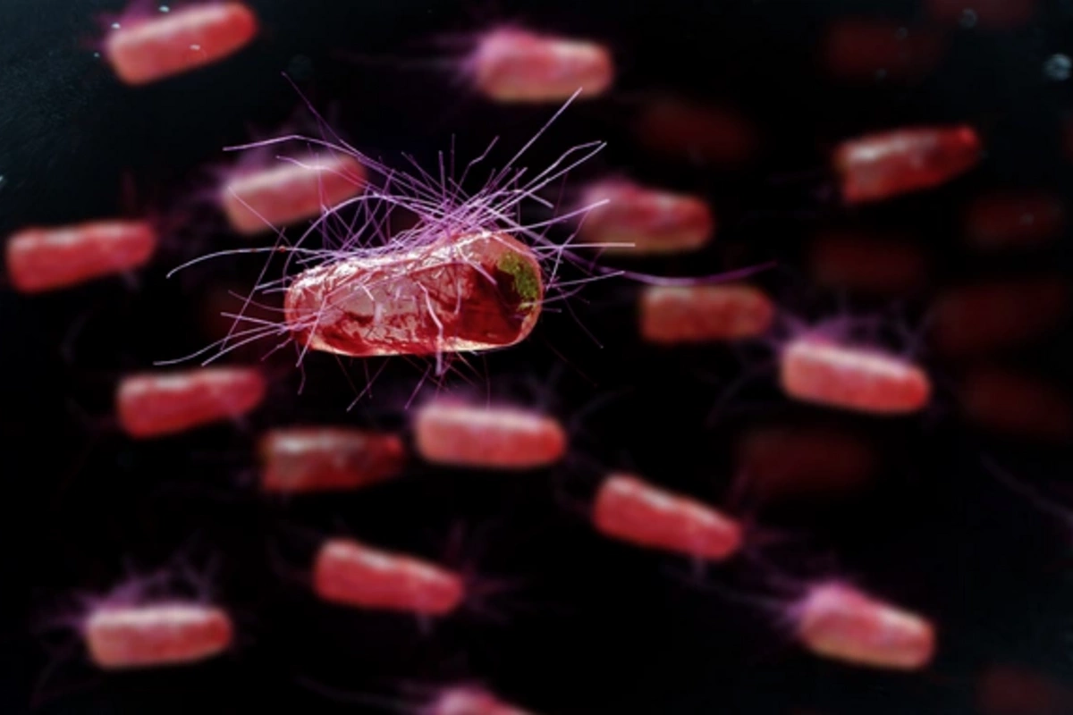 Scientists have developed a natural remedy for effective weight loss