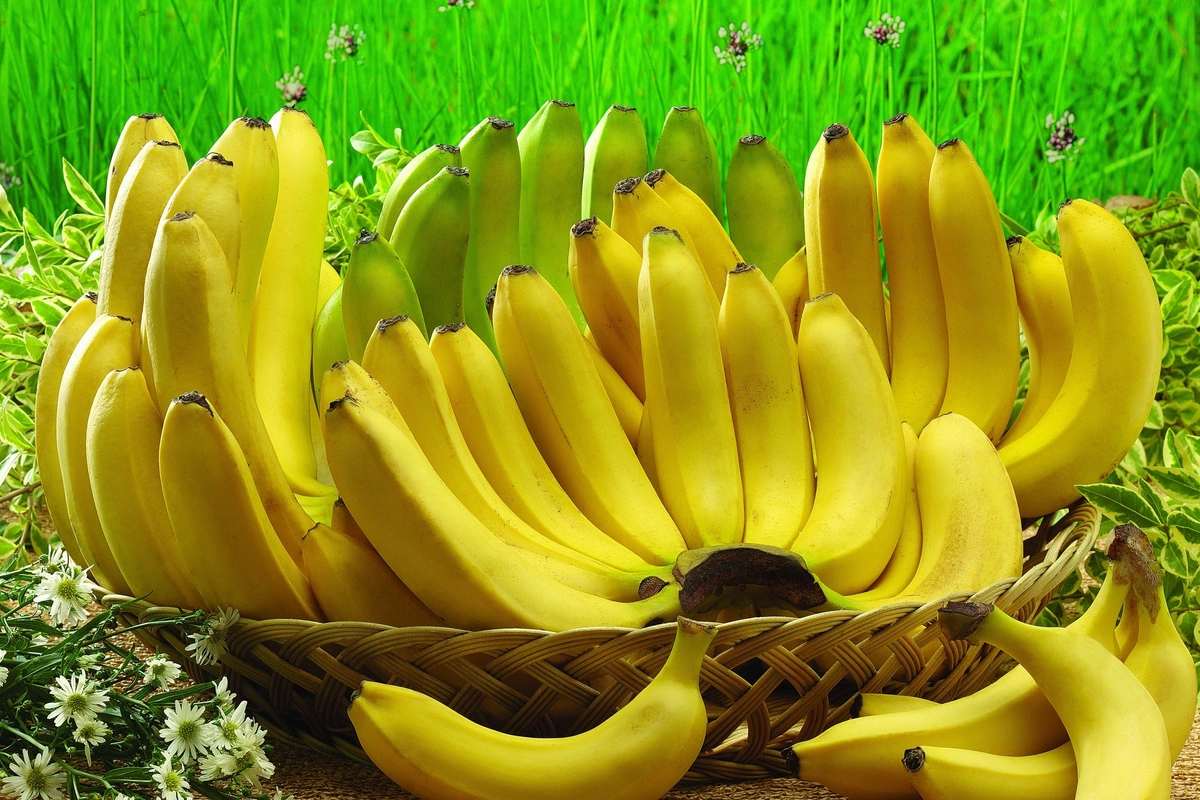 Unexpected property of bananas surprised scientists