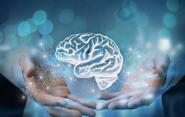 Названа привычка долгожителей для сохранения молодости мозга