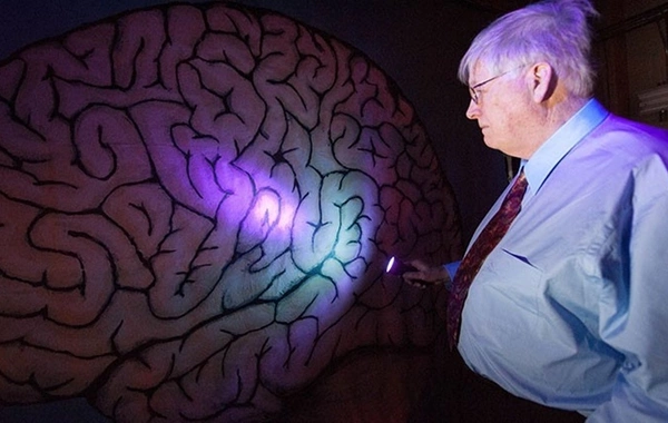 What happens to the brain after death: shocking facts you didn"t know