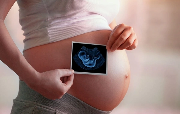 Scientists have revealed how the "connection" between mother and child has evolved over 100 million years