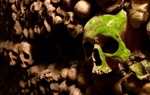 The Island of the Dead in Paris - What the Catacombs Hide