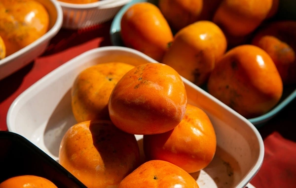 Врач назвала продукты с рекордным содержанием железа