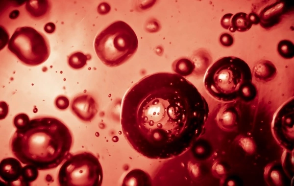 The only blood type that carries the code of life