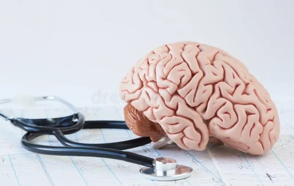 Scientists Have Named an Unexpected Way to Preserve Brain Youth