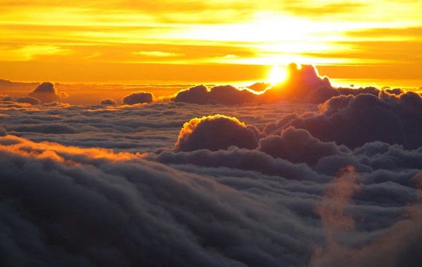 Астрологи определили, какие два знака зодиака живут меньше всего