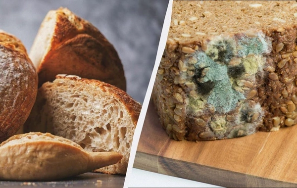 Плесень на хлебе: можно ли спасти буханку - мнение врача