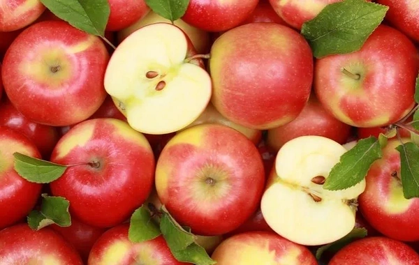 Forbidden fruit: who absolutely should not eat apples