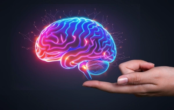 Ученые впервые в истории «воскресили» замороженный мозг