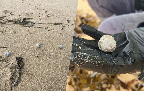 Mysterious balls discovered on Australian beaches