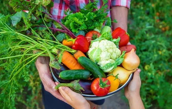 This cheap vegetable reduces the risk of 8 types of cancer at once
