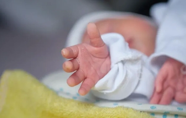 Bodies of 800 infants began to be searched for in an institution for single mothers in Ireland