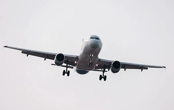 Flight restrictions introduced at three Russian airports
