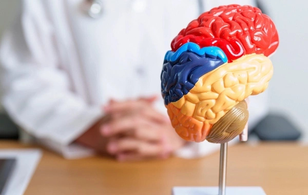 A simple habit of elderly people slows down brain aging