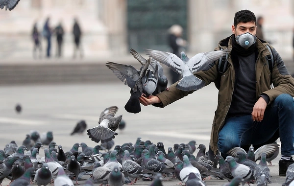 Scientists have found: urban birds are more afraid of women than men