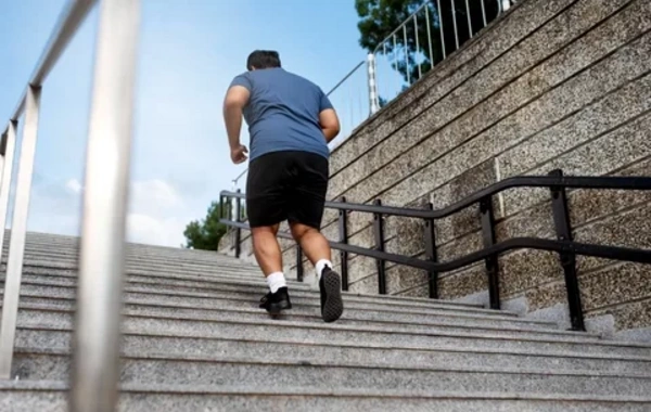 Scientists revealed the impact of excess weight on the brain