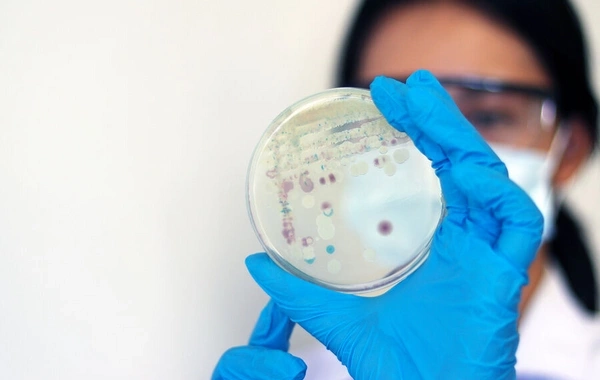 Учёные узнали, какой грибок способен выжить на Марсе