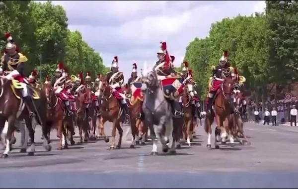A horse escaped from formation and fell near Macron during a parade in Paris