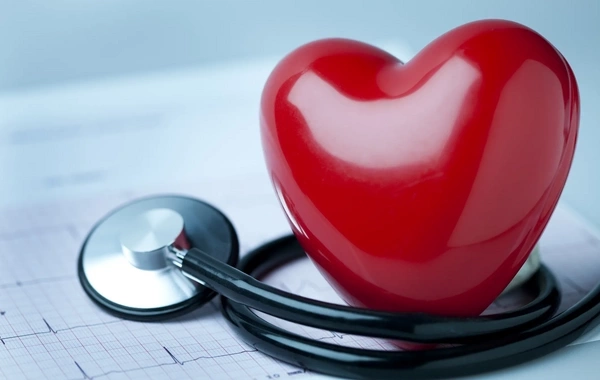 Popular vegetable named natural heart savior