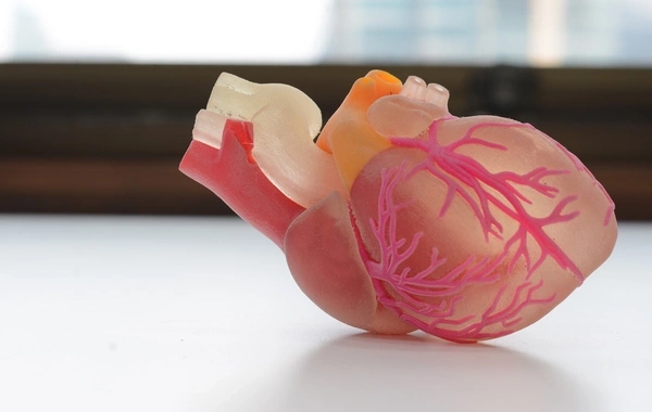 Ученых удивило неожиданное воздействие рака на сердце